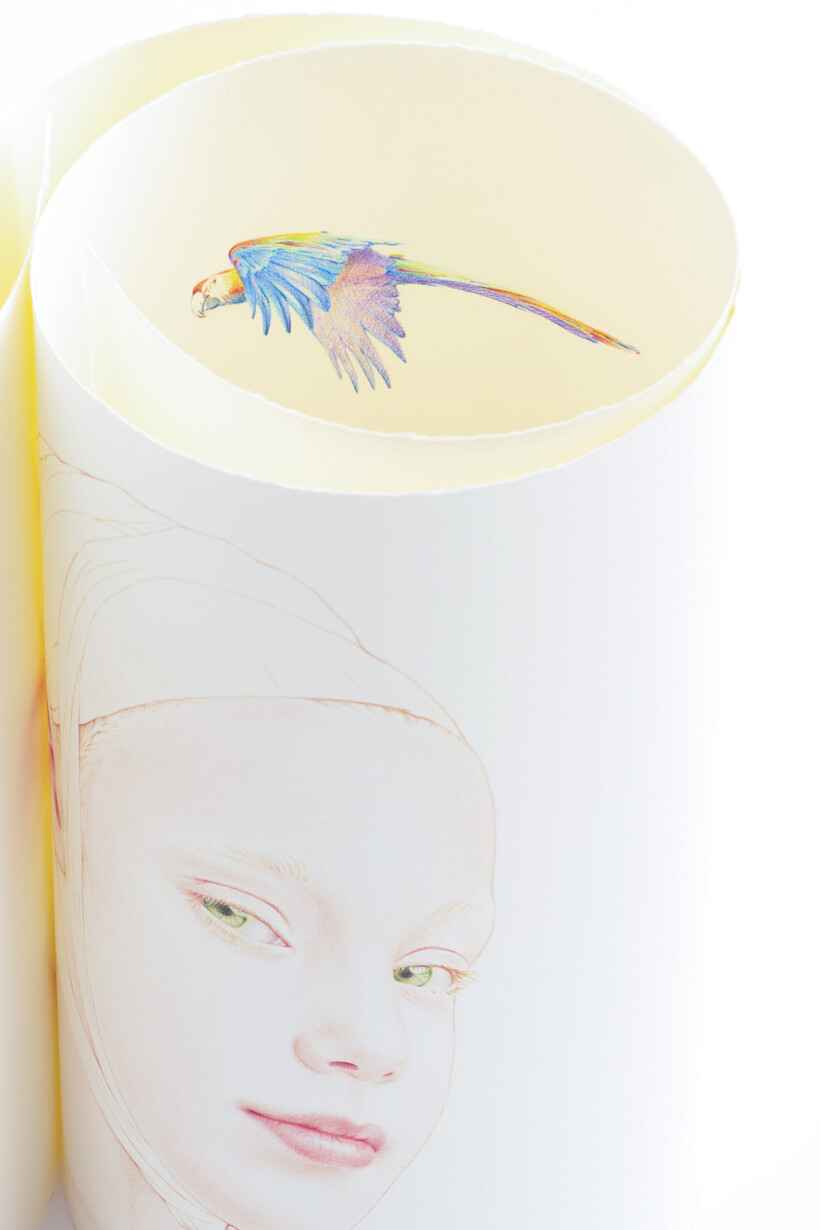 Retrato a lápiz de color de una niña mirando hacia la cámara mientras un loro vuela a su lado.