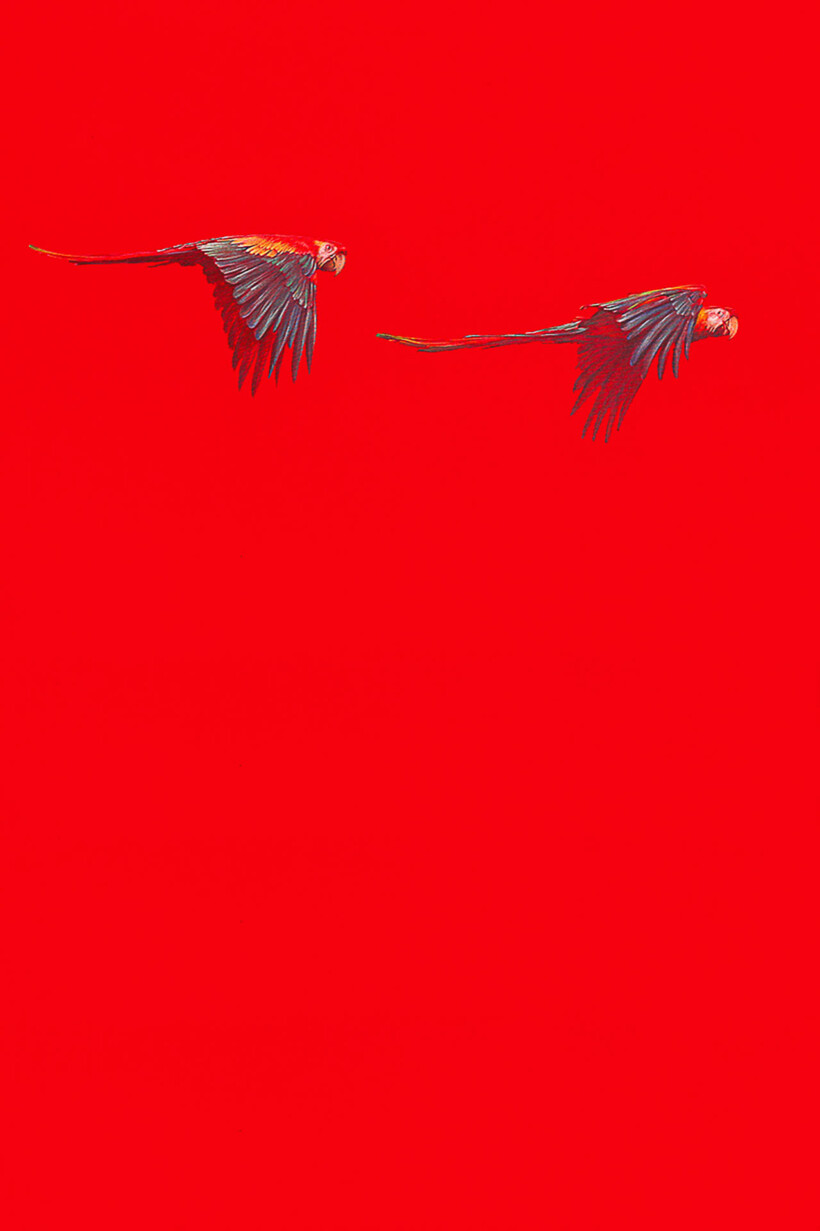 Retrato de una niña con el pelo recogido y la cabeza inclinada hacia un lado, con un fondo rojo intenso. La figura está pintada con un estilo hiperrealista.