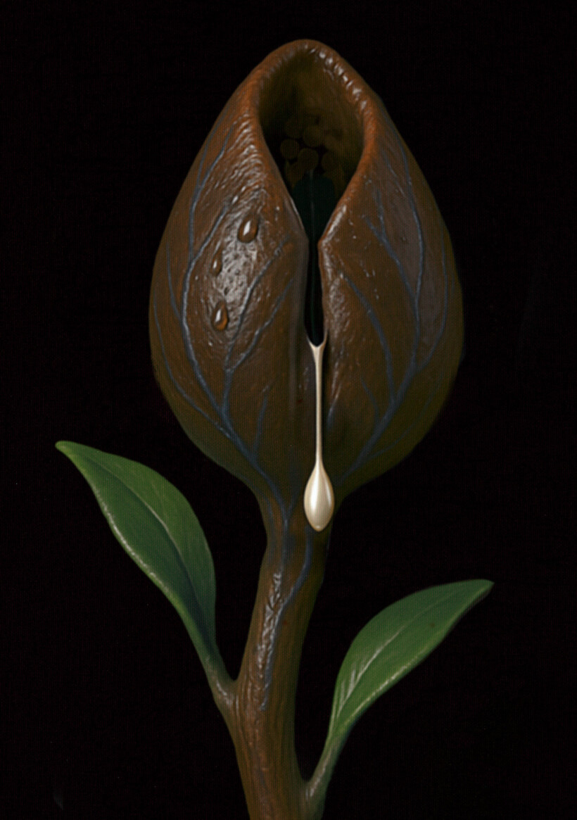 Cuadro hiperrealista de Salustiano, flor aún sin abrir, gota de agua, tallo.