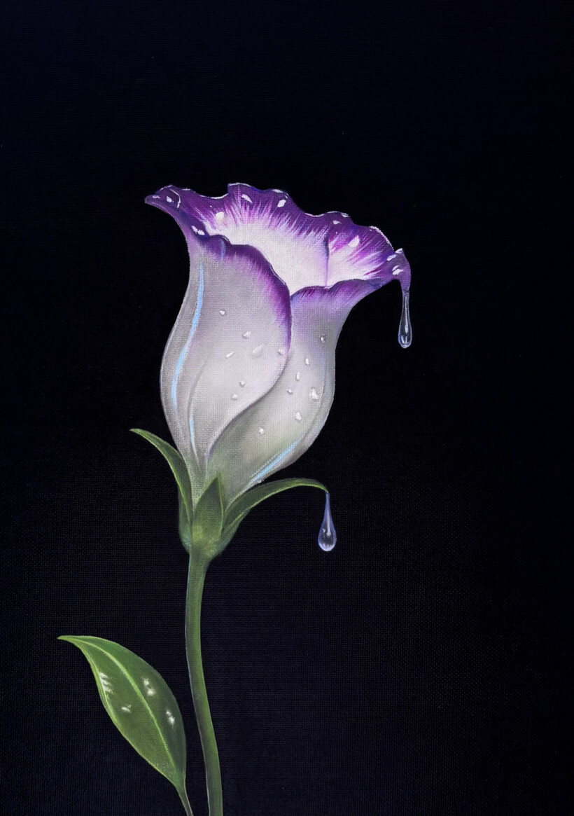Cuadro hiperrealista de Salustiano, flor de lisianthus blanca y morada con gotas de agua.
