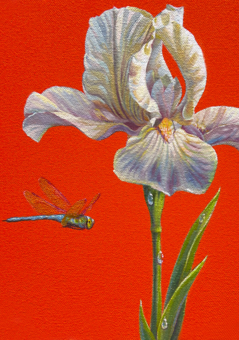 Pintura de un lirio con una libélula sobre un fondo rojo.